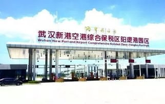 陽邏綜保區進口商品展示中心啟航 武漢人足不出戶買遍全球