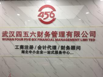 武漢稅務報賬咨詢與代理服務全解析